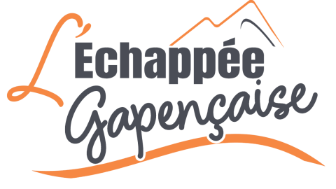 Logo de l'article