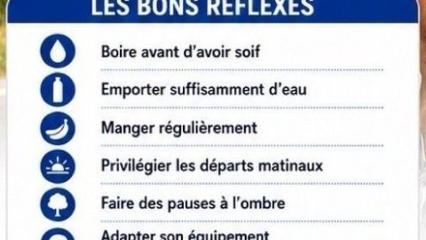 Logo de l'article