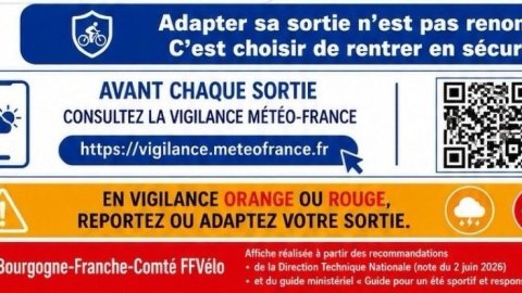 Logo de l'article
