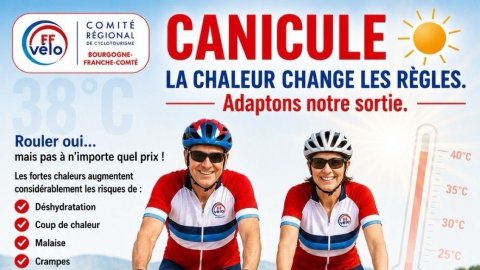 Logo de l'article